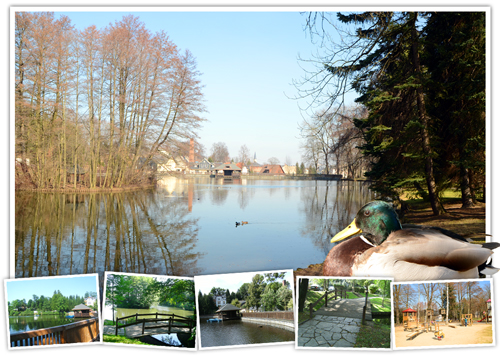 Walkteich