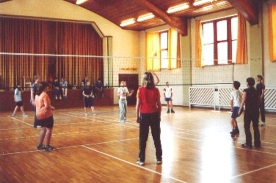 Volleyballer in der Turnhalle